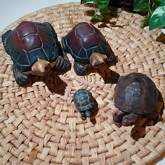 Other - Turtle bundle.